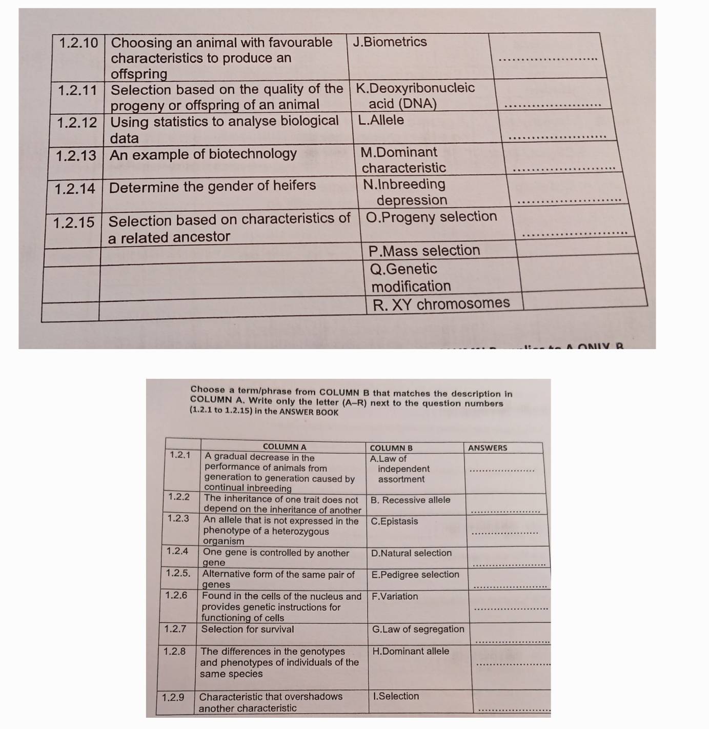 Choose a term/phrase from COLUMN B that matches the description in 
COLUMN A. Write only the letter (A-R) next to the question numbers 
(1.2.1 to 1.2.15) in the ANSWER BOOK