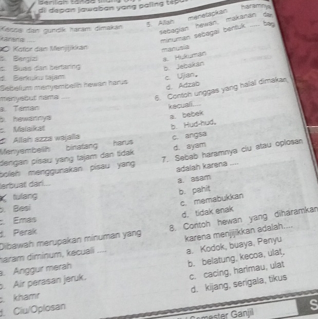 ben an tanda 1 e s 
dii depan jawaban yang paling tepu
5. Allah `` menetapkan haramny 
sebagian hewan makanan da
Kecde dan gundik haramı dimakan ..... bag
Karana ....
minuman sebagai bentuk
1 Kotor dan Menjjkkan
manusia
B Bergizi
a. Hukuman
Buas dan bertaring
b. Jebakan
d. Berkuku tajam c. Ujian。
d. Adzab
Sebelum menyembelih hewan harus
menyebut nama ....
6. Contoh unggas yang halal dimakan
. Teman
kecuali....
b. hewannya
a. bebek
Maïaikat
b. Hud-hud,
Allaḥ azza wajalla
Menyembelih binatang harus c. angsa
7. Sebab haramnya ciu atau oplosan
dengan písau yang tajam dan tidak d. ayam
boleh menggunakan pisau yang 
adalah karena ....
lerbuat dari...
a. asam
b. pahit
tulang
c. memabukkan
. Besi
d. tidak enak
Emas
Dibawah merupakan mínuman yang 8. Contoh hewan yang diharamkan
karena menjijikkan adalah....
Perak
haram dimínum, kecuali ....
a. Kodok, buaya, Penyu
b. belatung, kecoa, ulat.
. Anggur merah
c. cacing, harimau, ulat
. Air perasan jeruk.
d. kijang, serigala, tikus
. khamr
Cíu/Oplosan
mester Ganjil