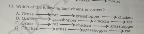 mouse
13. Which of the following food chains is correct?
A. Grass rat grasshopper chicken
B. Grass grasshopper rat
C. Grass rat chicken chicken grasshopper
D. Chicken grass grasshopper rat