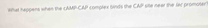 What happens when the cAMP-CAP complex binds the CAP site near the lac promoter?