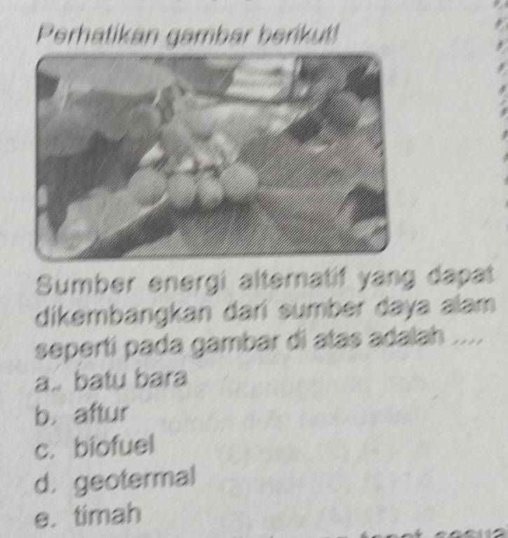 Perhatikan gambar berikut!
Sumber energi alternatif yang dapat
dikəmbangkan dari sumber daya alam
sepertí pada gambar di atas adalah ....
a.. batu bara
b. aftur
c. biofuel
d. geotermal
e. timah