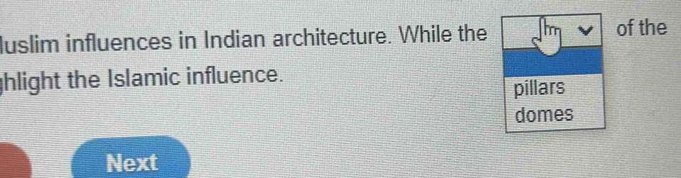 luslim influences in Indian architecture. While the Im of the 
hlight the Islamic influence. 
pillars 
domes 
Next