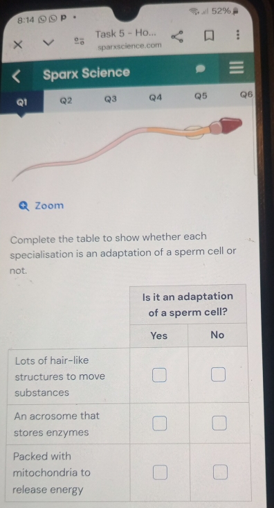 8:14 p  . 52%
Task 5 - Ho...
×
sparxscience.com
Sparx Science
Q1 Q2 Q3 Q4 Q5 Q6
Zoom
Complete the table to show whether each
specialisation is an adaptation of a sperm cell or
not.