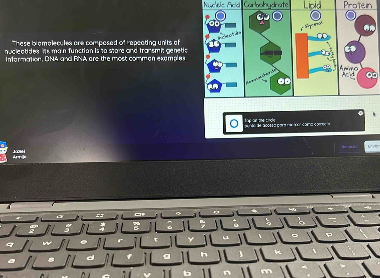 Nucleic Acid Carbohydrate Lipid Protein 
These biomolecules are composed of repeating units of 
nucleotides. Its main function is to store and transmit genetic 
information. DNA and RNA are the most common examples. 
∞ 
a 
Tap on the circle 
punto de acceso para marcar como correcto. 
Reiniciar Enviar 
Jaziel 
Armijo 
- . 
=3 n o 
、
$ %
a 
。 
4 5

D 
a w e t y 
a f 
h j K