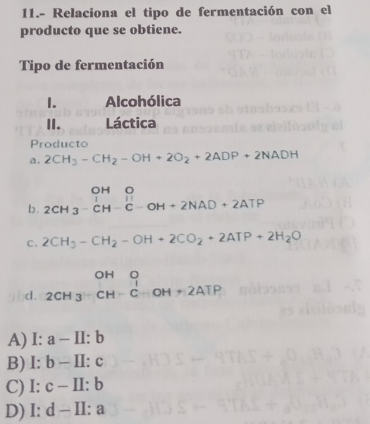 11.- Relaciona el tipo de fermentación con el
producto que se obtiene.
Tipo de fermentación
1. Alcohólica
II. Láctica
Producto
a. 2CH_3-CH_2-OH+2O_2+2ADP+2NADH
b . beginarrayr OHO 2CH_3-CH-C-OH+2NAD+2ATPendarray
C . 2CH_3-CH_2-OH+2CO_2+2ATP+2H_2O
d. beginarrayr OHO 2CH_3^(-CH+2ATPendarray)
A) I:a-II:b
B) I:b-II:c
C) I:c-II:b
D) I:d-II:a