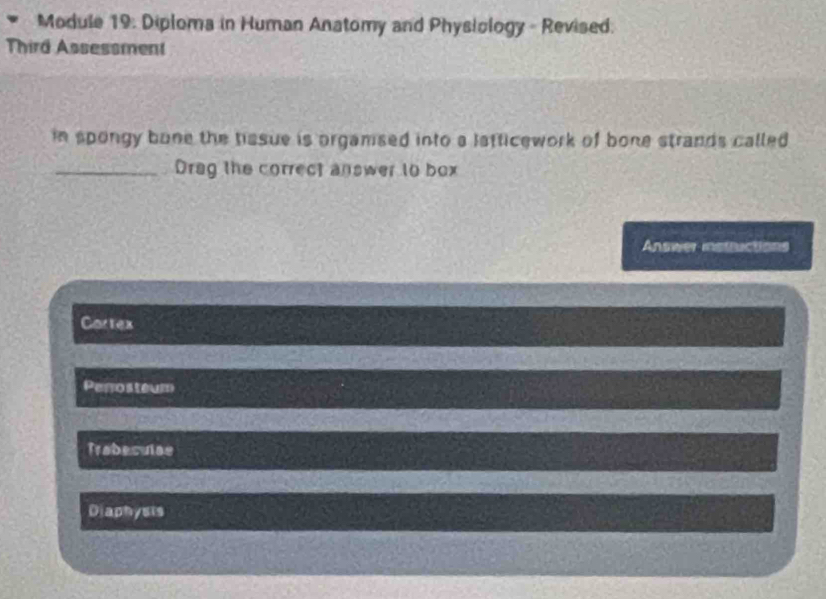 Module 19: Diploma in Human Anatomy and Phystology - Revised:
Third Assessment
in spongy bone the hssue is orgamsed into a lafticework of bone strands called 
_Drag the correct answer to box
Answer instauctions
Cartex
Perosteum
Trabeculse
Diaphysis