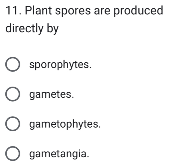 Plant spores are produced
directly by
sporophytes.
gametes.
gametophytes.
gametangia.