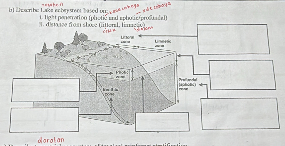 Describe Lake ecosystem based on: 
i. light penetration (photic and aphotic/profundal) 
ii. dista 
daratan