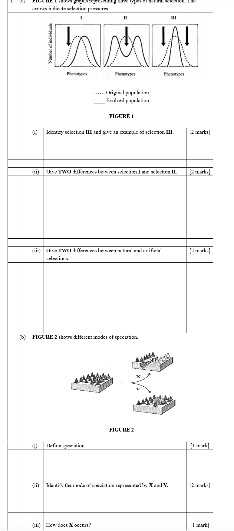 arrows indicate selection pressures. 
Ⅱ 
I III 
: 
Phenotypes Phenotypes Phenotypes 
...... Original population 
Evolved population 
FIGURE 1 
(i) Identify selection III and give an example of selection III. [2 marks] 
(ii) Give TWO differences between selection I and selection II. [2 marks] 
(iii) | Give TWO differences between natural and artificial [2 marks] 
selections. 
(b) | FIGURE 2 shows different modes of speciation. 
x 
FIGURE 2 
(i) Define speciation. [1 mark] 
(ii) Identify the mode of speciation represented by X and Y. [2 marks] 
(iii) How does X occurs? [1 mark]