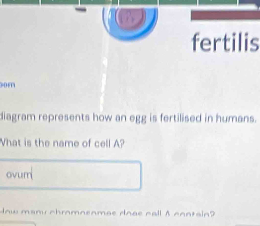 Solved: fertilis om diagram represents how an egg is fertilised in ...