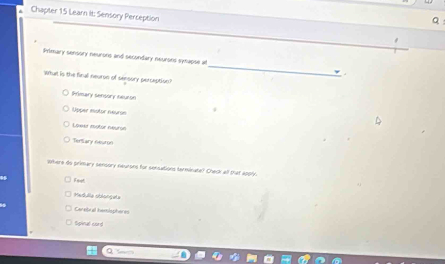 Chapter 15 Learn it: Sensory Perception
Q
_
Primary sensory neurons and secondary neurons synapse at
What is the final neuron of sensory perception?
Primary sensory neuron
Upper mator neuron
Lower motor neuron
Tertiary neuron
Where do primary sensory neurons for sensations terminate? Check all that apply.
Feet
Medulla obiongata
Cerebral hemispheres
Spinal cord