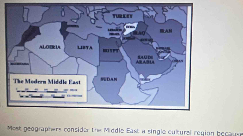 Most geographers consider the Middle East a single cultural region because