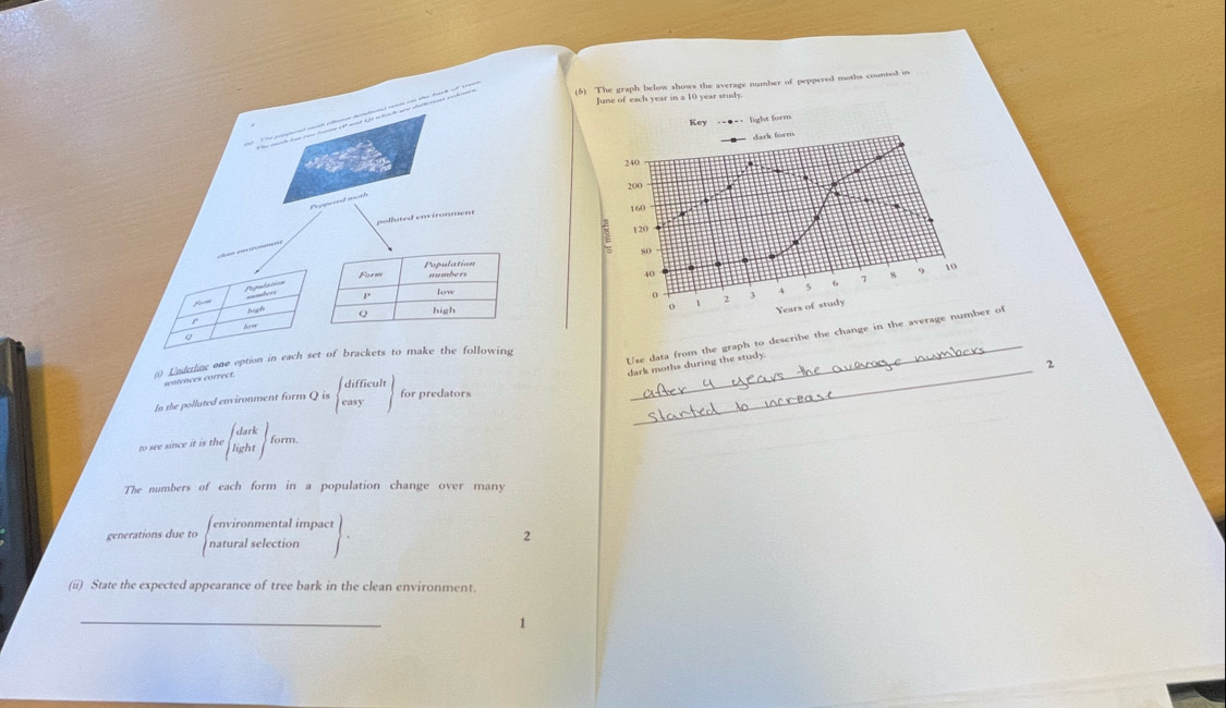 (6) The graph below shows the average number of peppered moths counsed in 
June of each year in a 10 year study 
polluted environment 
_ 
Use data from the graph to describe the change in the average number of 
() Lnskrline one option iof brackets to make the following 
dark moths during the study. 
sentences correct. 
In the polluted environment form Qisbeginarrayl difficult for predators _2 
to see since it is the beginarrayl dark lightendarray form. 
The numbers of each form in a population change over many 
environmental imp 
generations due to natural selection pact| 
2 
(ii) State the expected appearance of tree bark in the clean environment. 
_ 
1