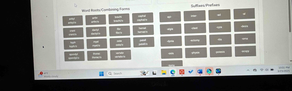 Solved: Word Roots/Combining Forms Suffixes/Prefixes ankyl arthr brachi ...
