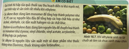 EM CO BIÉT 
* Quá trình hô háp của quả chuối sau thu hoạch diễn ra khá mạnh mẽ, 
quá trình này sẽ sản sinh rất nhiều khí ethylene. 
# Các alkene được dùng làm monomer để tổng hợp thành polymer như 
P PP, cao su; nguyên liệu đầu để tổng hợp các hợp chất hữu cơ như 
alcohol, aldehyde, các dẫn xuất halogen và các chất khác. 
Etbylene và acethylene được dùng làm nguyên liệu để chuyển hoá thành 
các monomer nhu styrene, vinyl chloride, vinyl acetate, acrylonitrile, . . . 
đế tổng hợp các polymer. Hình 16.7. Khi ethylene sinh ra từ 
Các alkyne là nguyên liệu sản xuất một số dược phẩm như thuốc chuối sẽ làm cà chua xanh mau chín 
kháng virus Efavirenz, thuốc kháng nấm Terbinafine, . ..