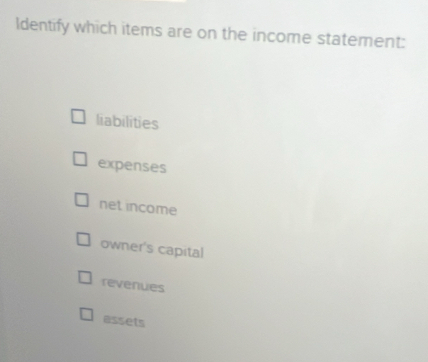 Identify which items are on the income statement:
liabilities
expenses
net income
owner's capital
revenues
assets