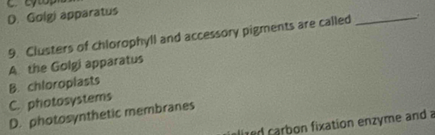 D. Golgi apparatus
9. Clusters of chlorophyll and accessory pigments are called
_
A the Golgi apparatus
B. chloroplasts
C. photosystems
D. photosynthetic membranes
alized carbon fixation enzyme and a