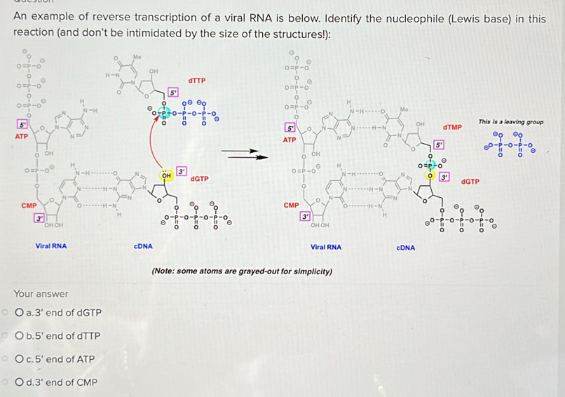 Solved: An example of reverse transcription of a viral RNA is below ...