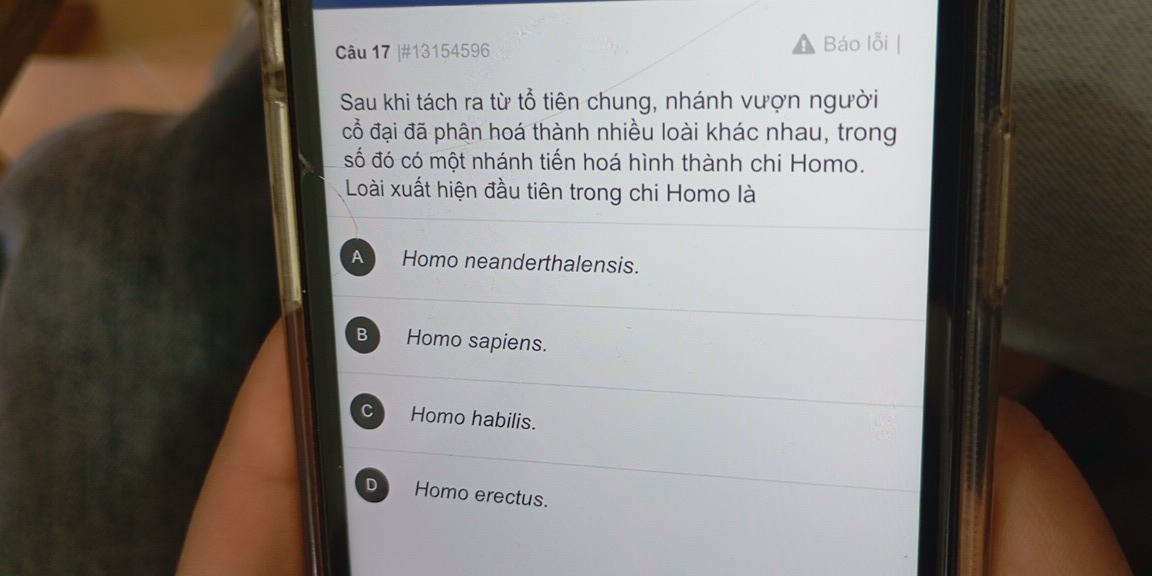 #13154596 Báo lỗi |
Sau khi tách ra từ tổ tiên chung, nhánh vượn người
cổỗ đại đã phân hoá thành nhiều loài khác nhau, trong
số đó có một nhánh tiến hoá hình thành chi Homo.
Loài xuất hiện đầu tiên trong chi Homo là
A Homo neanderthalensis.
B Homo sapiens.
C Homo habilis.
D Homo erectus.