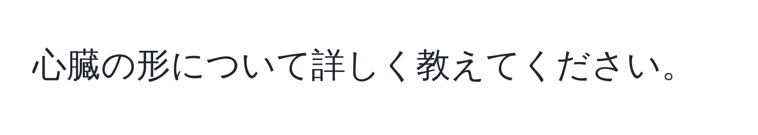 心臓の形について詳しく教えてください。