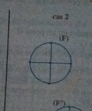 cas 2
(F)
CF