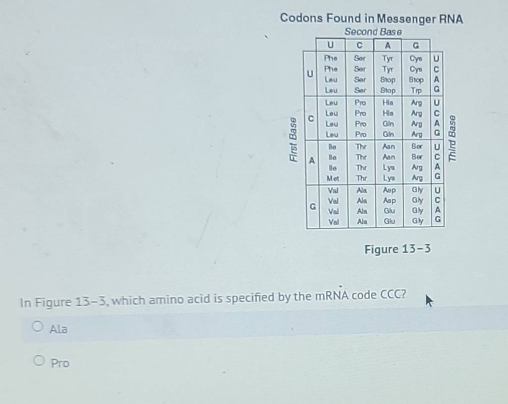 Solved: Codons Found in Messenger RNA Second Base U C A G Phe Ser Tyr ...