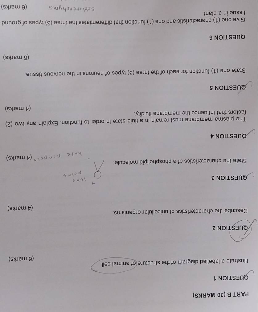 Illustrate a labelled diagram of the structure of animal cell. 
(6 marks) 
QUESTION 2 
Describe the characteristics of unicellular organisms. 
(4 marks) 
QUESTION 3 
State the characteristics of a phospholipid molecule. 
(4 marks) 
QUESTION 4 
The plasma membrane must remain in a fluid state in order to function. Explain any two (2) 
factors that influence the membrane fluidity. 
(4 marks) 
QUESTION 5 
State one (1) function for each of the three (3) types of neurons in the nervous tissue. 
(6 marks) 
QUESTION 6 
Give one (1) characteristic and one (1) function that differentiates the three (3) types of ground 
tissue in a plant. 
(6 marks)