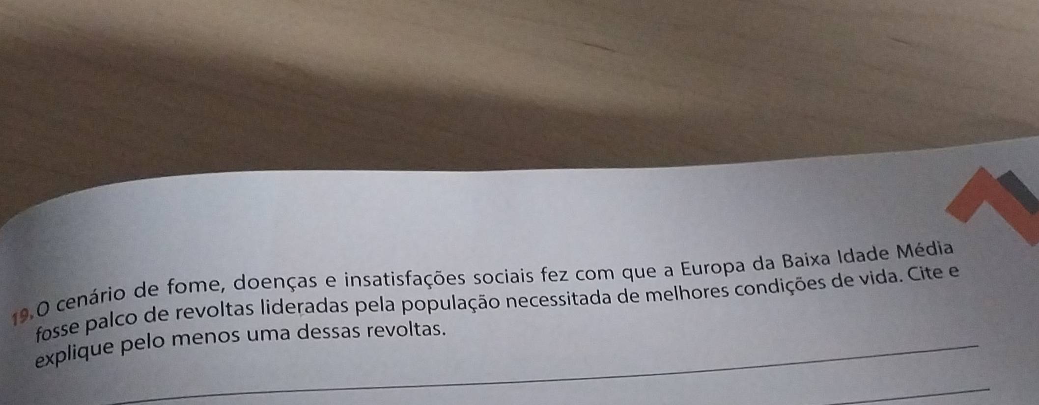 19.0 cenário de fome, doenças e insatisfações sociais fez com que a Europa da Baixa Idade Média 
fosse palco de revoltas lideradas pela população necessitada de melhores condições de vida. Cite e 
explique pelo menos uma dessas revoltas.