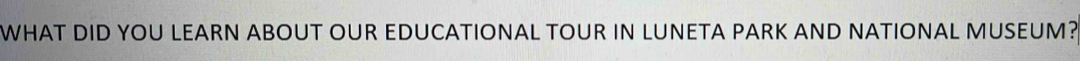 WHAT DID YOU LEARN ABOUT OUR EDUCATIONAL TOUR IN LUNETA PARK AND NATIONAL MUSEUM?