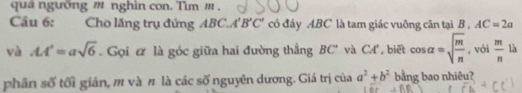 quá ngường m nghìn con. Tìm m , 
Câu 6: Cho lăng trụ đứng ABC.A'B'C' có đáy ABC là tam giác vuông cân tại B , AC=2a
yà AA'=asqrt(6). Gọi ư là góc giữa hai đường thẳng BC° và C l', biết cos alpha =sqrt(frac m)n , với  m/n  là 
phân số tối giản, m và # là các số nguyên dương. Giá trị của a^2+b^2 bằng bao nhiêu?