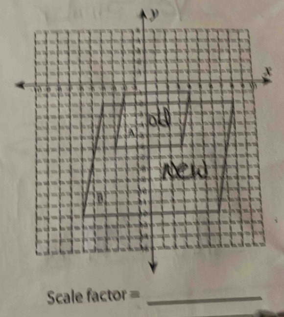 x
Scale factor =_