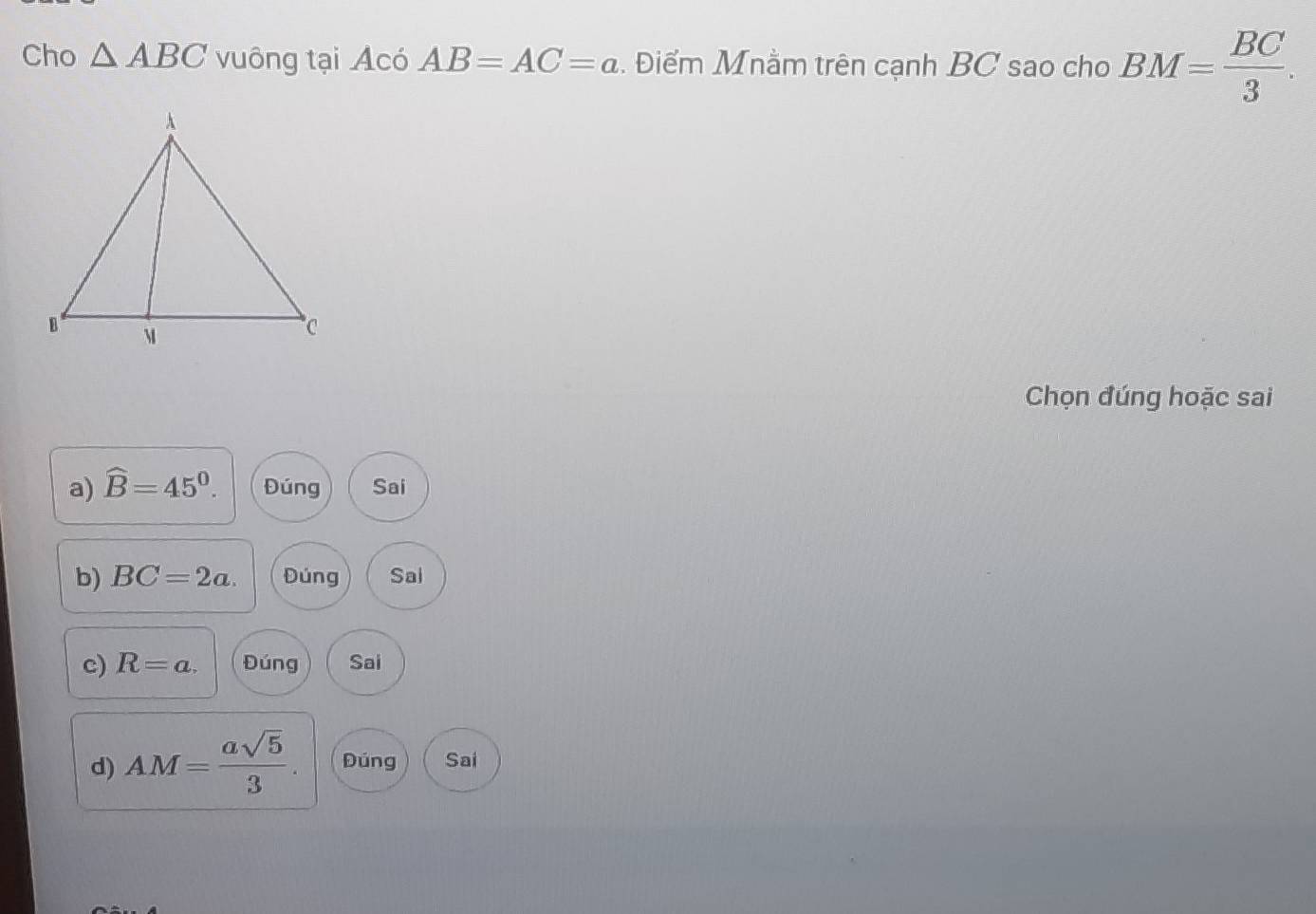 Cho △ ABC vuông tại Acó AB=AC=a. Điểm Mnằm trên cạnh BC sao cho BM= BC/3 . 
Chọn đúng hoặc sai
a) widehat B=45^0. Đúng Sai
b) BC=2a. Đúng Sai
c) R=a. Đúng Sai
d) AM= asqrt(5)/3 . Đúng Sai