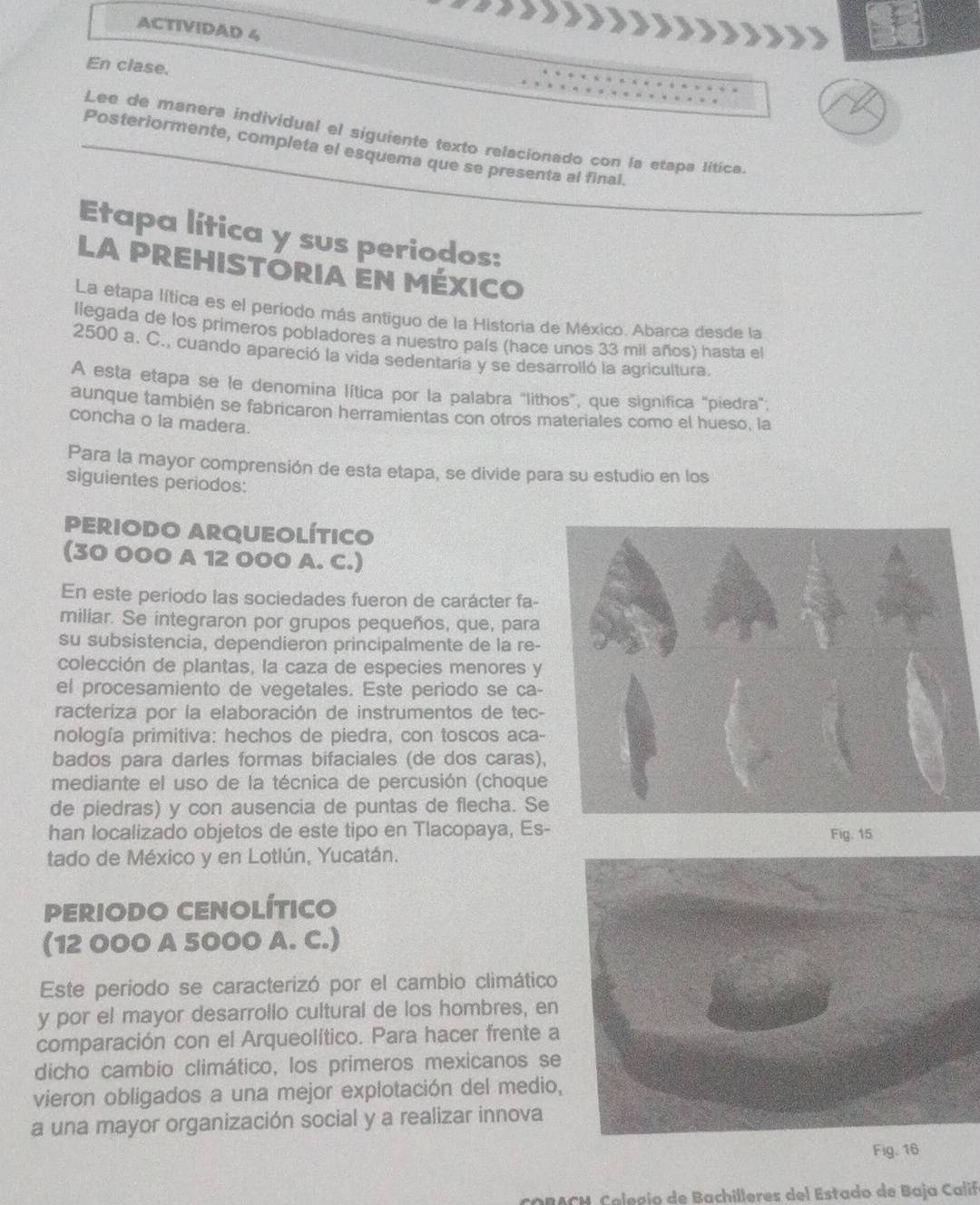 ACTIVIDAD 4
En clase.
Lee de manera individual el siguiente texto relacionado con la etapa litica
Posteriormente, completa el esquema que se presenta al final.
Etapa lítica y sus periodos:
LA PREHISTORIA EN MÉXICO
La etapa lítica es el período más antiguo de la Historia de México. Abarca desde la
llegada de los primeros pobladores a nuestro país (hace unos 33 mil años) hasta el
2500 a. C., cuando apareció la vida sedentaria y se desarrolló la agricultura.
A esta etapa se le denomina lítica por la palabra "lithos", que significa "piedra";
aunque también se fabricaron herramientas con otros materiales como el hueso, la
concha o ia madera.
Para la mayor comprensión de esta etapa, se divide para su estudio en los
siguientes periodos:
PERIODO ARQUEOLÍTICo
(30 O00 A 12 O00 A. C.)
En este periodo las sociedades fueron de carácter fa-
miliar. Se integraron por grupos pequeños, que, para
su subsistencia, dependieron principalmente de la re-
colección de plantas, la caza de especies menores y
el procesamiento de vegetales. Este periodo se ca-
racteriza por la elaboración de instrumentos de tec-
nología primitiva: hechos de piedra, con toscos aca-
bados para darles formas bifaciales (de dos caras),
mediante el uso de la técnica de percusión (choque
de piedras) y con ausencia de puntas de flecha. Se
han localizado objetos de este tipo en Tlacopaya, Es- Fig. 15
tado de México y en Lotlún, Yucatán.
PERIODO CENOLÍTICO
(12 000 A 5000 A. C.)
Este periodo se caracterizó por el cambio climático
y por el mayor desarrollo cultural de los hombres, en
comparación con el Arqueolítico. Para hacer frente a
dicho cambio climático, los primeros mexicanos se
vieron obligados a una mejor explotación del medio,
a una mayor organización social y a realizar innova
Fig. 16
RA CM C  alegío de Bachilleres del Estado de Baja Calif