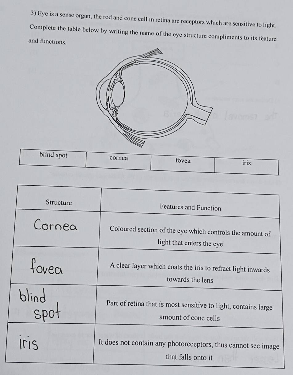 Eye is a sense organ, the rod and cone cell in retina are receptors which are sensitive to light.
Complete the table below by writing the name of the eye structure compliments to its feature
and functions.
blind spot cornea fovea iris