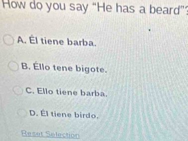 How do you say “He has a beard”?
A. Él tiene barba.
B. Éllo tene bigote.
C. Ello tiene barba.
D. Él tiene birdo.
Reset Selection