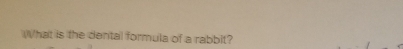 hat is the dental formula of a rabbit?