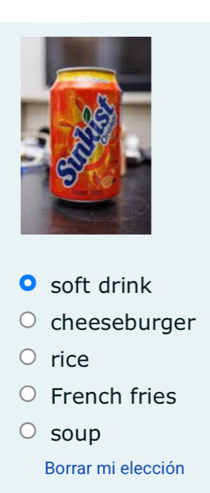 soft drink
cheeseburger
rice
French fries
soup
Borrar mi elección