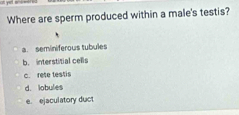 ot yet ans wered .
Where are sperm produced within a male's testis?
a. seminiferous tubules
b. interstitial cells
c. rete testis
d. lobules
e. ejaculatory duct