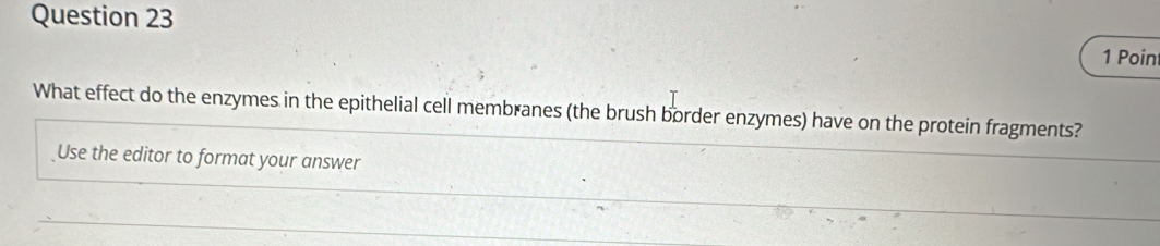 Poin 
What effect do the enzymes in the epithelial cell membranes (the brush border enzymes) have on the protein fragments? 
Use the editor to format your answer