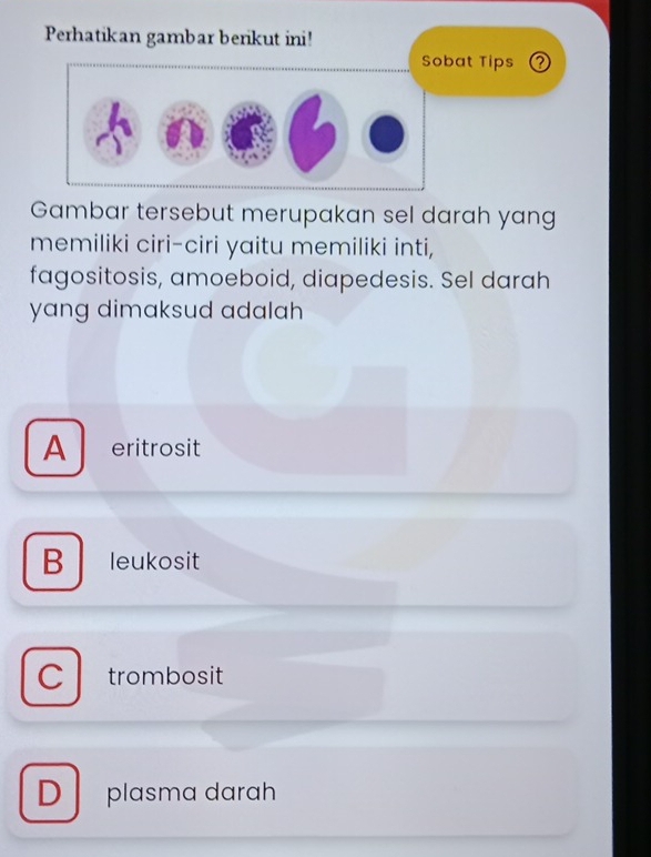 Perhatikan gambar berikut ini!
at Tips
Gambar tersebut merupakan sel darah yang
memiliki ciri-ciri yaitu memiliki inti,
fagositosis, amoeboid, diapedesis. Sel darah
yang dimaksud adalah
A eritrosit
B ₹leukosit
C trombosit
D plasma darah