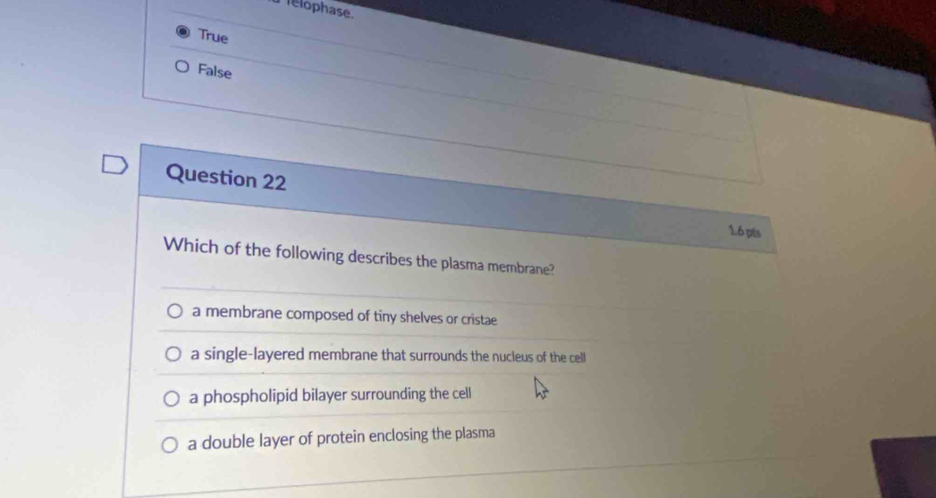 elophase.
True
False
Question 22
1.6 pts
Which of the following describes the plasma membrane?
a membrane composed of tiny shelves or cristae
a single-layered membrane that surrounds the nucleus of the cell
a phospholipid bilayer surrounding the cell
a double layer of protein enclosing the plasma