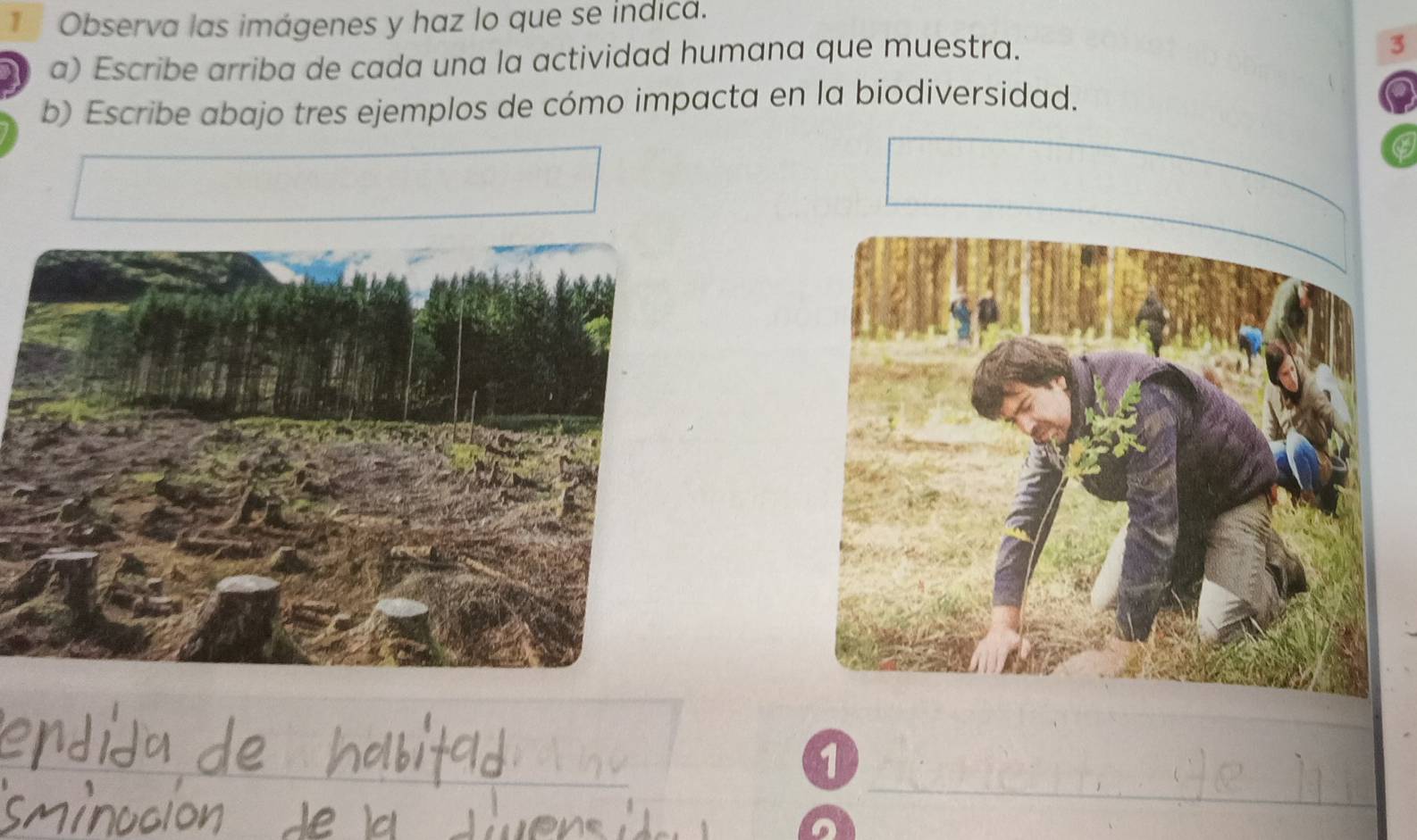 Observa las imágenes y haz lo que se indica. 
a) Escribe arriba de cada una la actividad humana que muestra. 
3 
b) Escribe abajo tres ejemplos de cómo impacta en la biodiversidad. 
a 
1