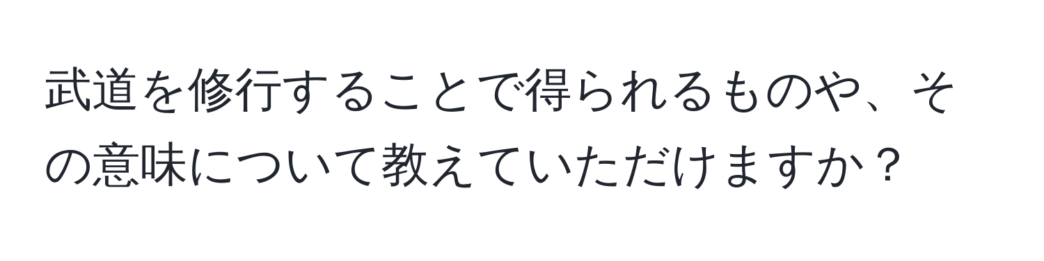 武道を修行することで得られるものや、その意味について教えていただけますか？