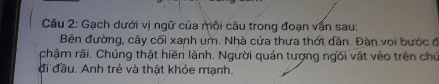 Gạch dưới vị ngữ của mỗi câu trong đoạn vấn sau: 
Bên đường, cây cối xanh ụm. Nhà cửa thưa thớt dân. Đàn voi bước đ 
chậm rãi. Chúng thật hiền lành. Người quản tượng ngõi vật véo trên chú 
đi đầu. Anh trẻ và thật khỏe mạnh.