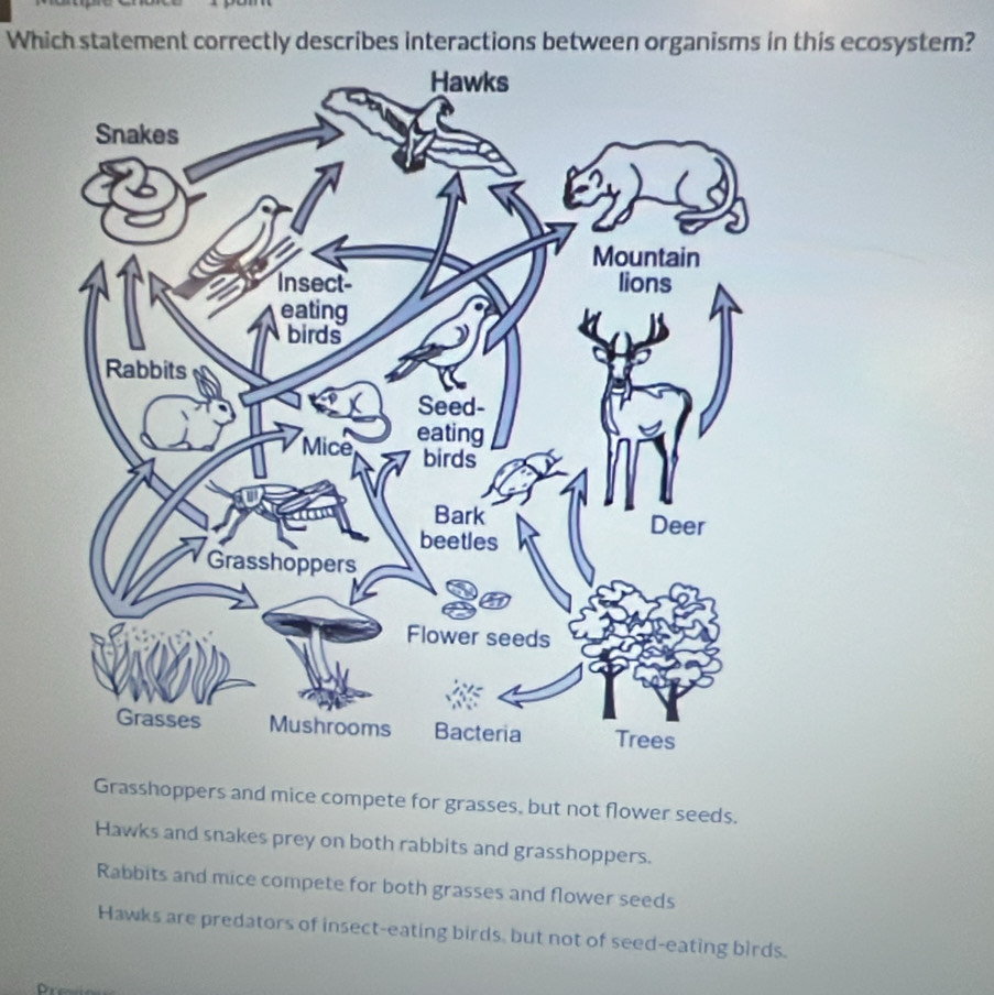 Which statement correctly describes interactions between organisms in this ecosystem?
Grasshoppers and mice compete for grasses, but not flower seeds.
Hawks and snakes prey on both rabbits and grasshoppers.
Rabbits and mice compete for both grasses and flower seeds
Hawks are predators of insect-eating birds, but not of seed-eating birds.
D