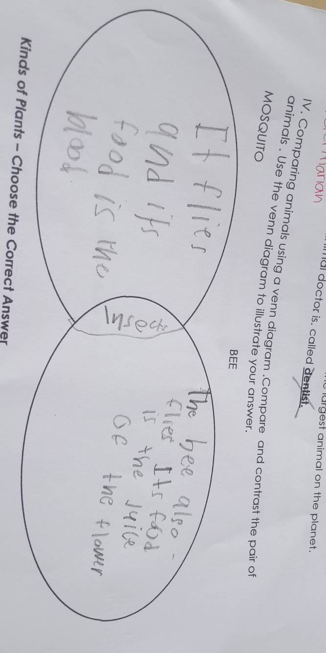 lurgest animal on the planet. 
mal doctor is. called dentist. 
IV. Comparing animals using a venn diagram .Compare and contrast the pair of 
animals . Use the venn diagram to illustrate your answe 
MOSQUITO 
Kinds of Plants - Choose the Correct Answer