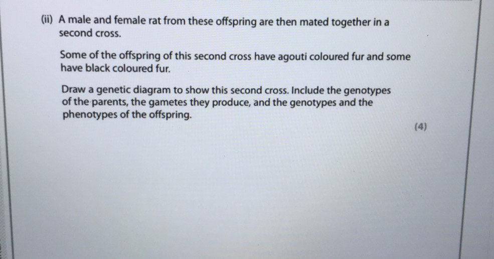 (ii) A male and female rat from these offspring are then mated together in a 
second cross. 
Some of the offspring of this second cross have agouti coloured fur and some 
have black coloured fur. 
Draw a genetic diagram to show this second cross. Include the genotypes 
of the parents, the gametes they produce, and the genotypes and the 
phenotypes of the offspring. 
(4)