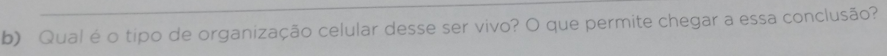 Qual é o tipo de organização celular desse ser vivo? O que permite chegar a essa conclusão?