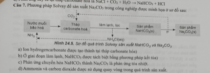 mấp carbonate hoà là NaCl+CO_2+H_2Oto NaHCO_3+HCl
Câu 7. Phương pháp Solvay đề sản xuất Na_2CO_3 trong công nghiệp được minh họa ở sơ a^2_0^(2 sau:
CO_2)
Nước muối Tháp làm lạnh, lọc Sản phẩm Sản phảm 
bāo hoà carbonate hoá NaHCO_3(s) to Na_2CO_3(s)
NH_3
NH_4Cl(aq)
Hình 24.5. Sơ đồ quá trình Solvay sản xuất NaHCO_3 và Na_2CO_3
a) Ion hydrogencarbonate được tạo thành tại tháp carbonate hóa) 
b) Ở giai đoạn làm lạnh, NaHC 0 23 được tách biệt bằng phương pháp kết tủa) 
c) Phản ứng chuyển hóa I sqrt(a)C_3 thành Na_2CO_3 là phản ứng tỏa nhiệt. 
d) Ammonia và carbon dioxide được sử dụng quay vòng trong quá trình sản xuất.