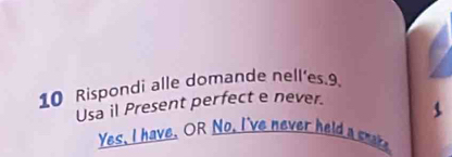 Rispondi alle domande nell'es. 9. 
Usa il Present perfect e never. 
Yes, I have. OR No, I've never held a crake